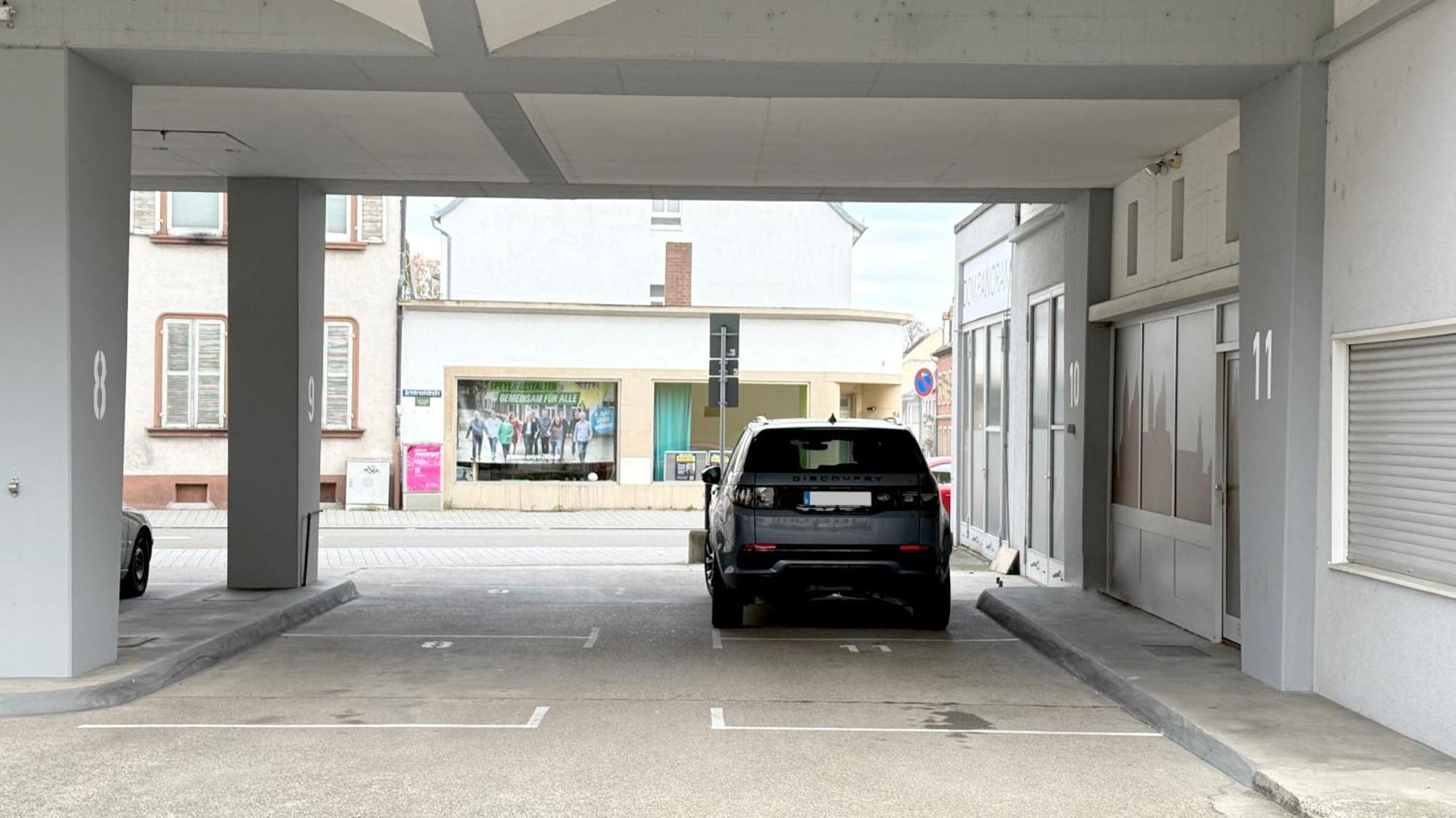 Dompanorama Der Kleine Dschungel Apartment Fuer 2-4 Pers Speyer Exterior foto